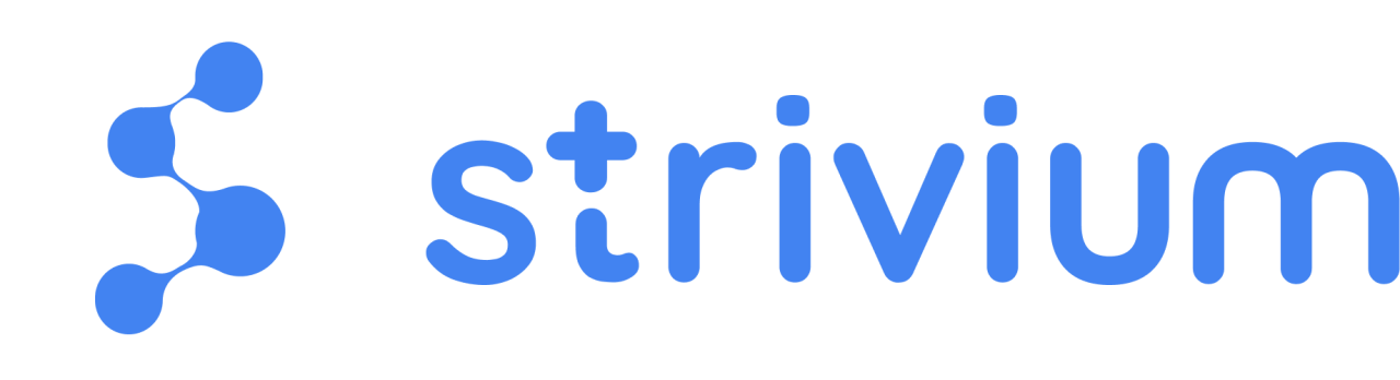Imagem Strivium HealthTech LTDA.